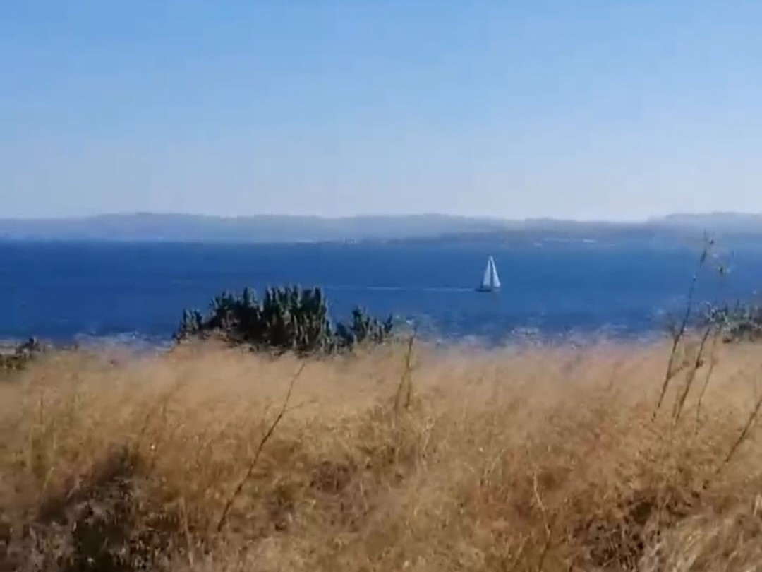 Çınar Gayrimenkul